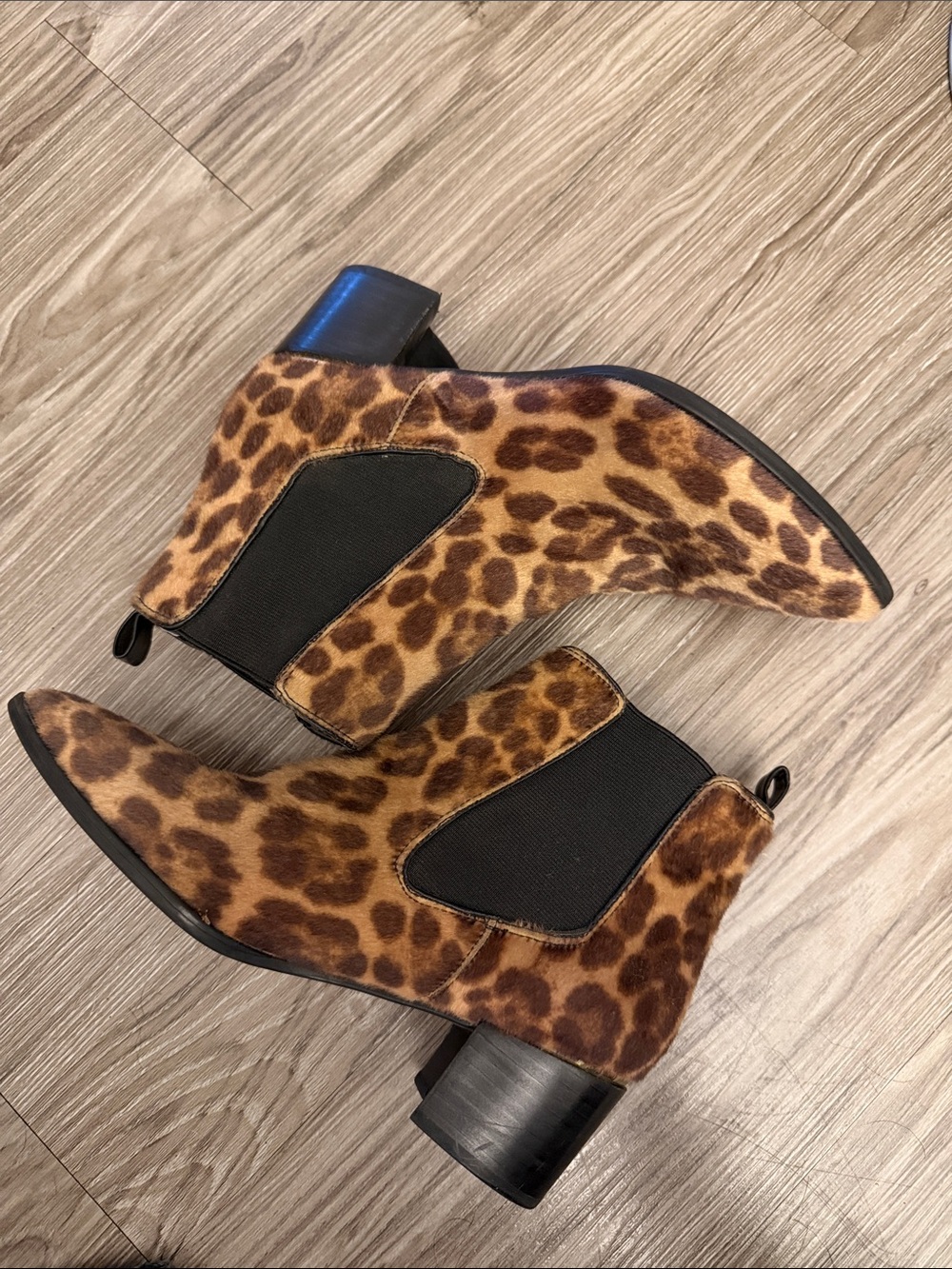 Nine West Leopard Print Chelsea Booties
